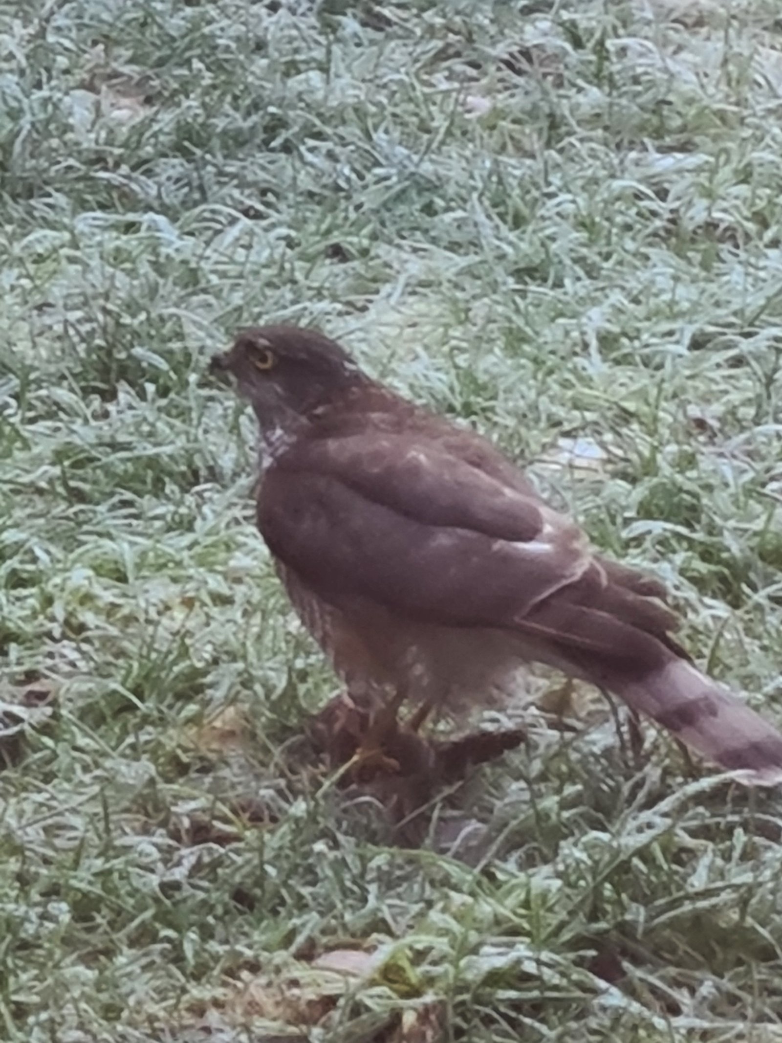 20230121_091159.jpg